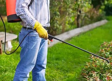 Pest control Service in Hyderabad