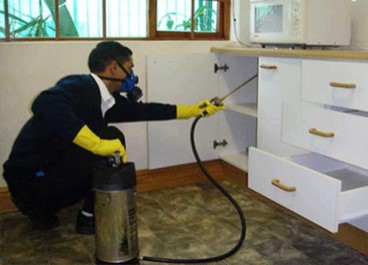 Pest control Service in Hyderabad